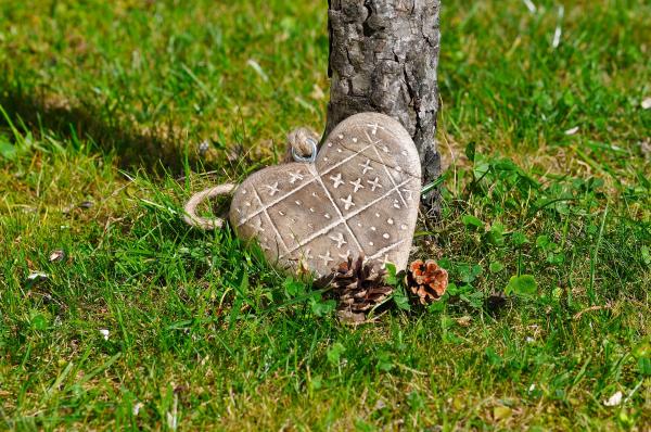 Heart