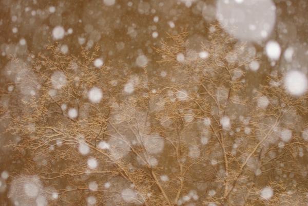 Heavy snowfall at night