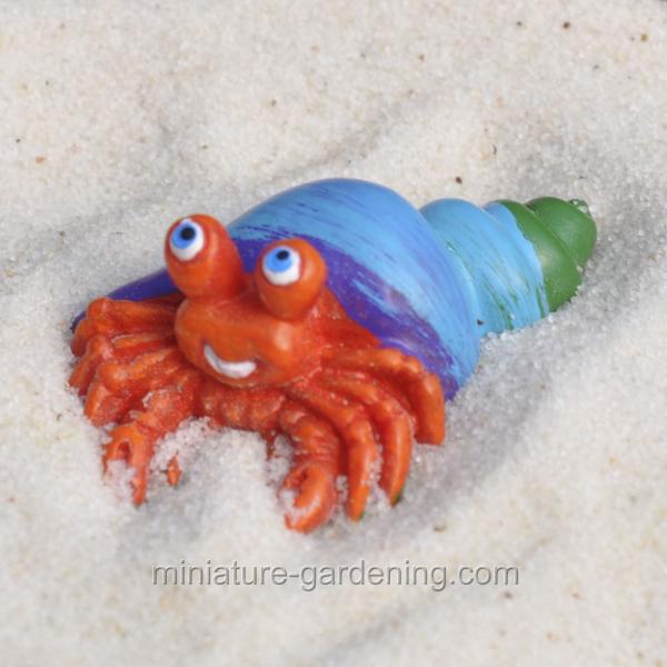 Hermit Crab Shell