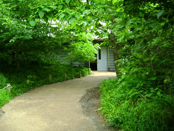 Hidden Path