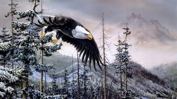 High Flying Trees