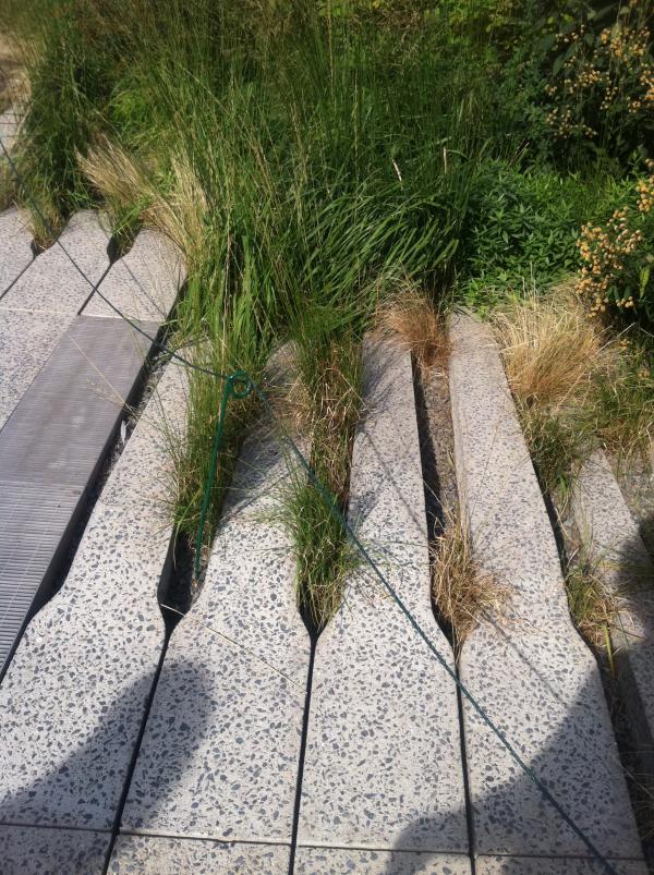 High line texture