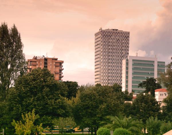 High Rise Buildings Near Green Leaf Trees Under White Sky during Daytime