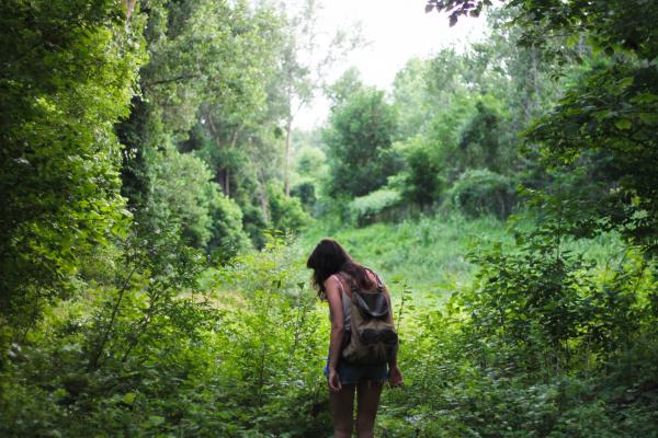 Hiking in the Wild