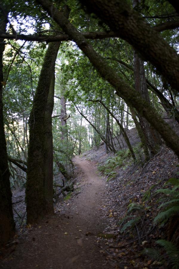 Hiking Trail