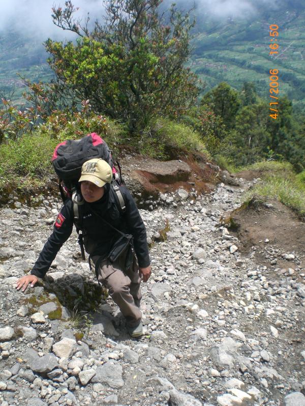 Hiking