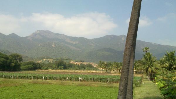 Hills in the distance