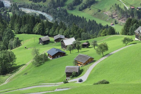 Hillside Seen from Cable Car, Sonntag, Austria