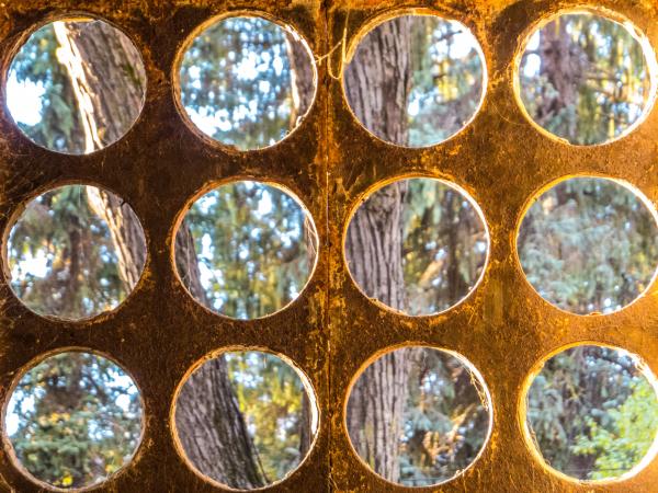 Holes in window