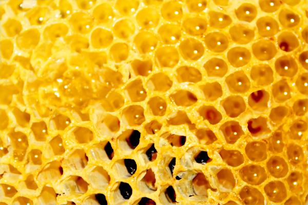 Honey comb