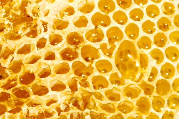 Honey comb
