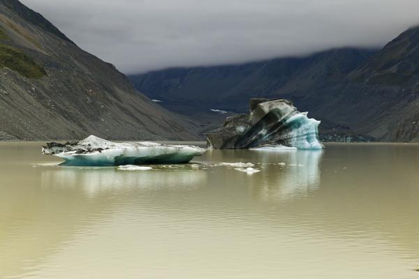 Hooker Lake and Icebergs