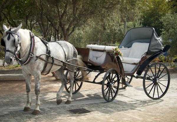 Horse Carriage