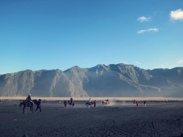 Horse Riding