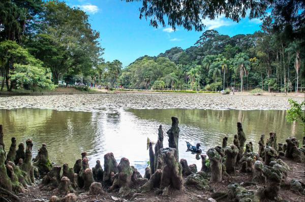 Horto Florestal