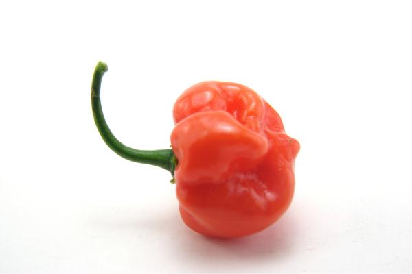 Hot habaneros