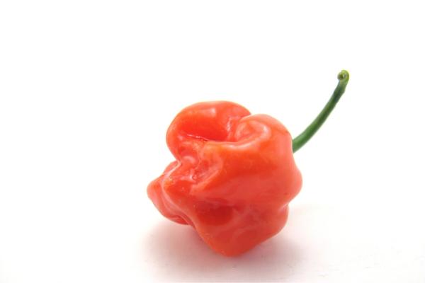 Hot habaneros