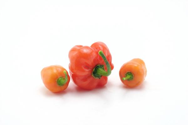 Hot habaneros