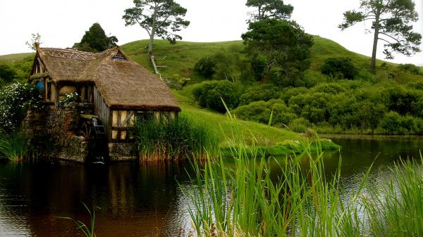 Near to lake