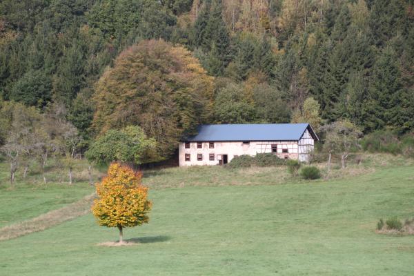 House near the Woods