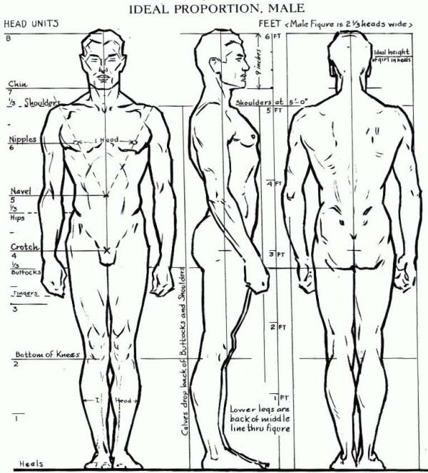 Human Figure