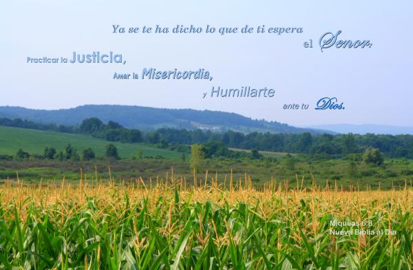 Humillarte Ante tu Dios