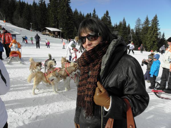 Huskies in the mountain resort of Pampo