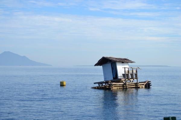 Hut in The Middle of The Ocean