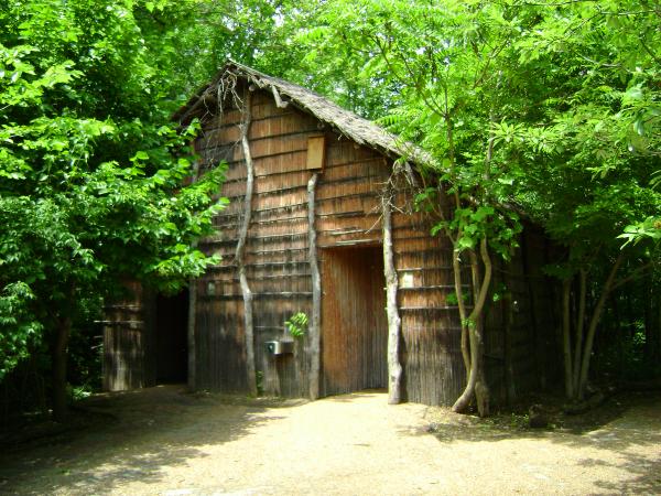Hut in the Woods