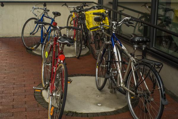 Hybrid hegemony - -vancouver-xe2-zeiss35-2-20150429-DSCF6018.jpg