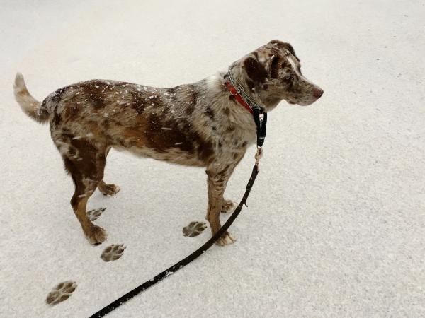 I Look Good in Snow