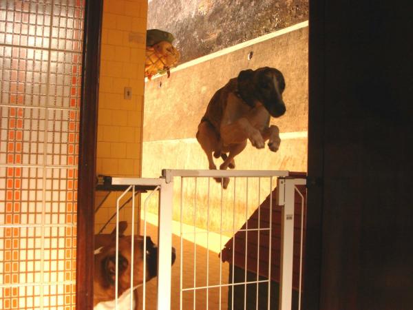 I really love jumping.