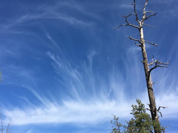 I The Sky