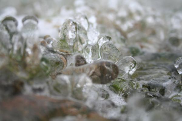 Ice