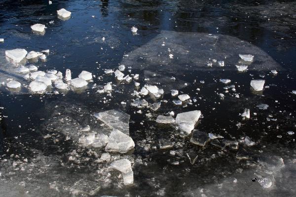 Ice