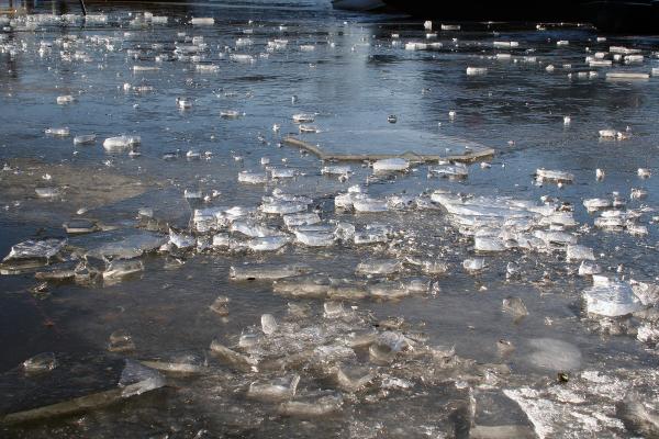 Ice