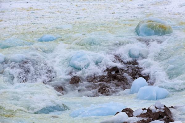 Ice Along the Coast