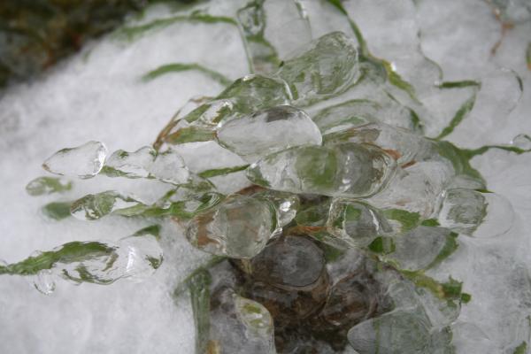 Ice crystals
