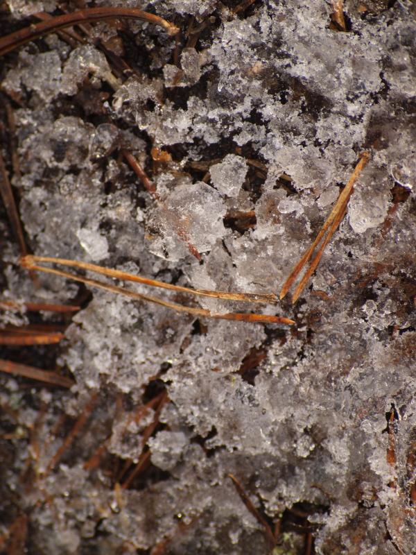 Ice texture