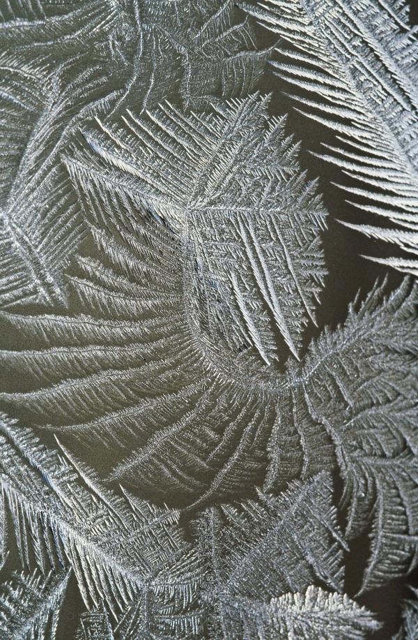 Ice Texture