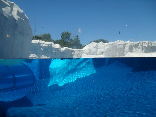 Iceberg