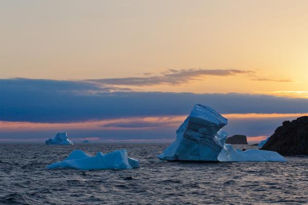 Iceberg