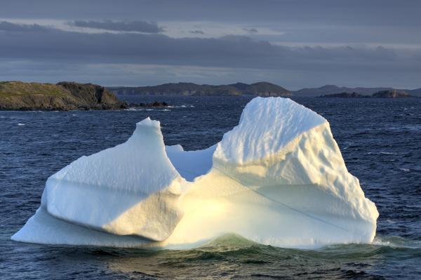 Iceberg
