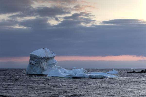 Iceberg