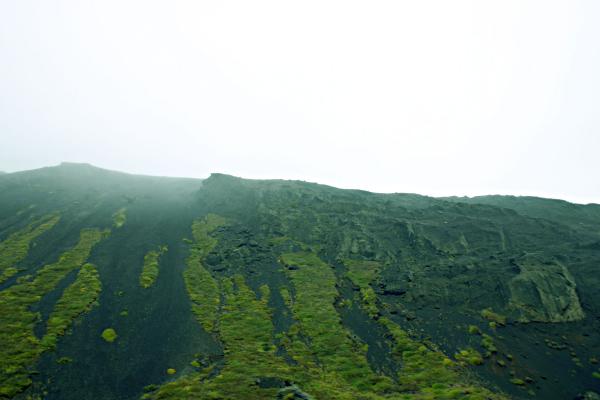 Icelandic Cliffs