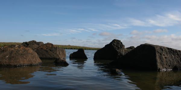 Icelandic Landscape
