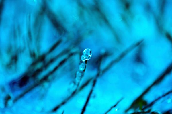 Icicle