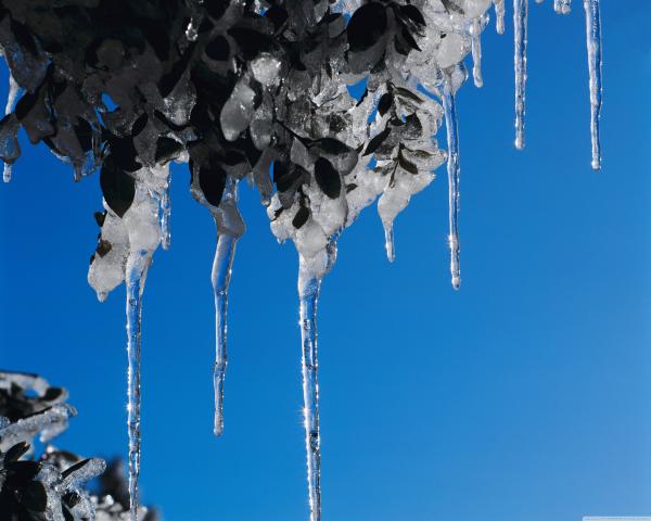 Icicles II