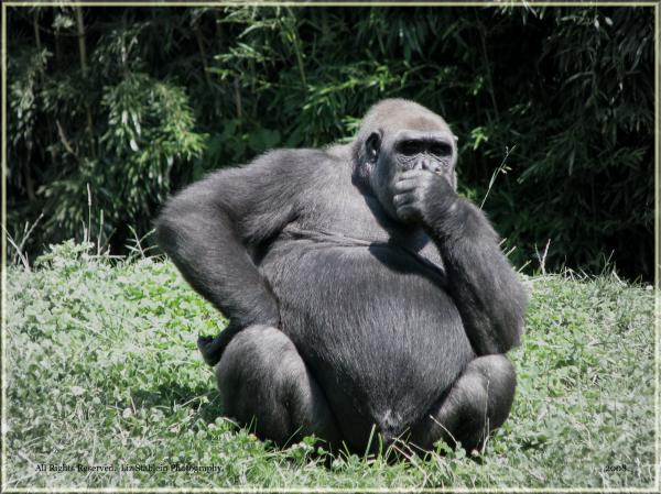 In Deep Thought