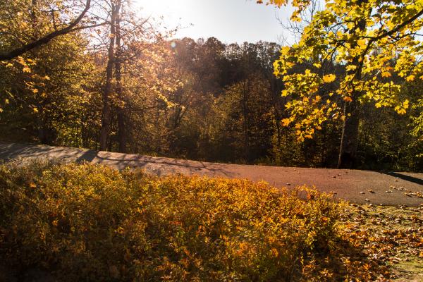 In memory of Autumn